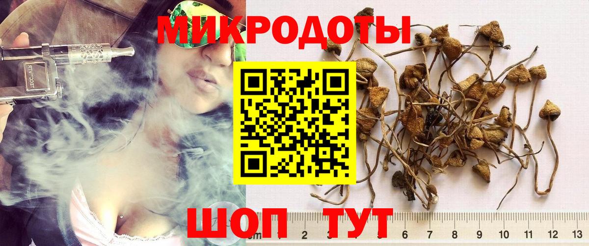 Псилоцибиновые грибы GOLDEN TEACHER Курчалой