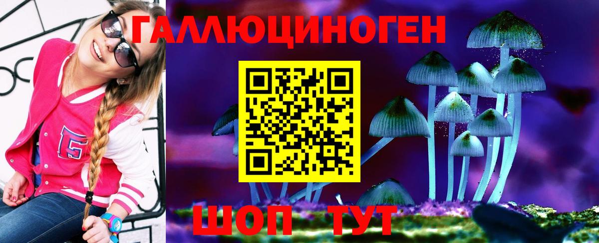 хочу   Вход с VPN  Курчалой  Псилоцибиновые грибы мицелий  Псилоцибиновые грибы Cubensis 